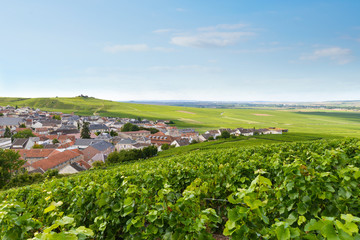 Fototapeta na wymiar Verzenay village view, Champagne region, France, August 2017