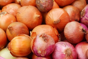 Shallot - asia red onion for at cooking
