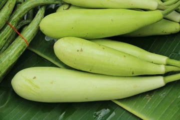 winter melon in the market