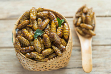 Fried pupa silk worms, Thai style food from northeast of Thailand.