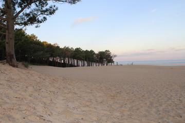 plage sable dune mer ocean