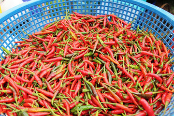 Fresh chilli in the market