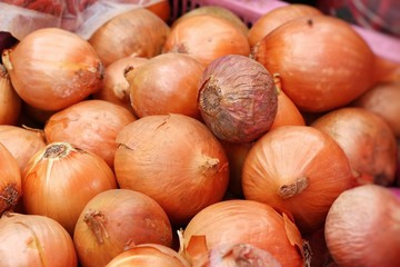 Obraz premium Shallot - asia red onion for at cooking