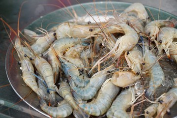 Fresh shrimp in the market