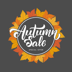 Vector illustration: Handwritten lettering of Autumn Sale on hand drawn autumn leaves background