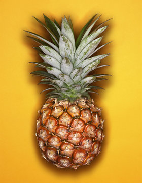 Graphic image of pineapple on yellow background