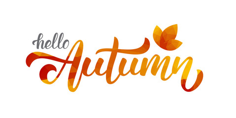 Vector illustration: Handwritten lettering of Hello Autumn. Low poly