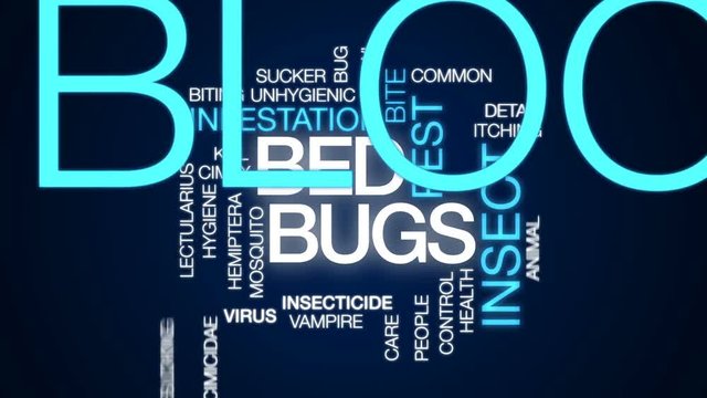Bed bugs animated word cloud, text design animation.