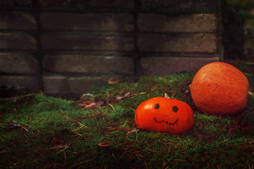 Halloween pumpkin on nature background. Holiday Halloween concept