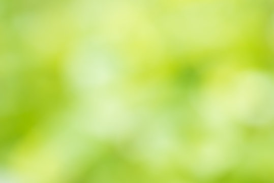 Abstract defocused green blurred background