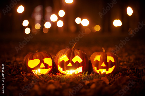 Three Kind Halloween Pumpkins in the park