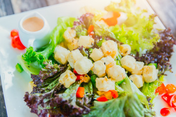 Fresh mixed vegetables tofu salad vegetarian food with salad dressing creamy sauce healthy diet meal