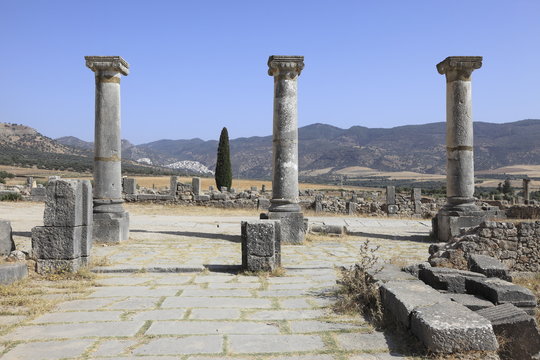 「マクシムス」の写真素材 3件の無料イラスト画像 Adobe Stock