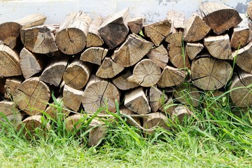 Pile of old firewood background with nature