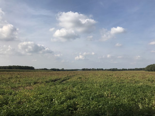 Farmland in Drenthe