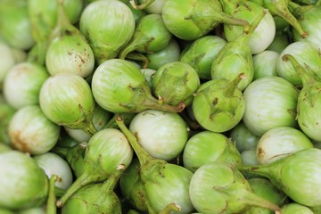 Fresh eggplant green organic in the market