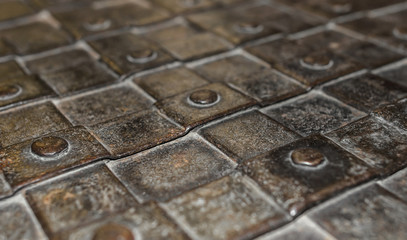 Elements of antique forging on the door.