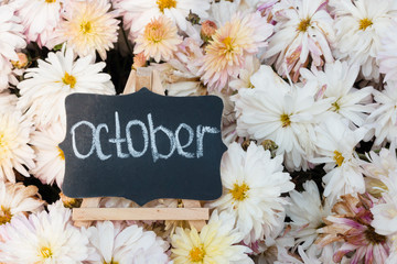 A small wooden malbert with a slate on which chalk is written "autumn" "september" "october" "november".  The concept of calendar. Autumn flowers in the background. 