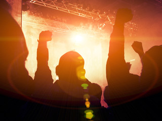 Concert crowd in front of a stage