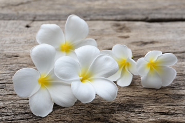Beautiful plumeria or temple,spa flower on rustic wood background