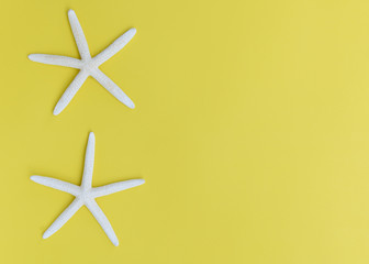 Flat lay star fish on yellow background,top view