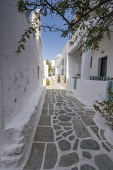 Un vicolo tipico del pittoresco villaggio di Chora, isola di Folegandros GR	