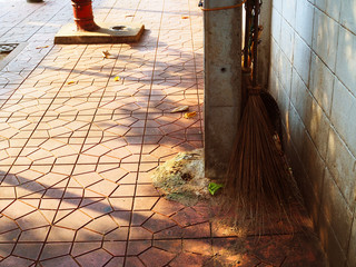 Dry coconut leaf cleaning bloom in shadow shade beside concrete electrical pole, on geometric pattern red clay tile footpath floor, dirty stained white painted brick wall, warm evening sunlight
