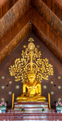 Fototapeta na wymiar Buddha statue in Sirindhornwararam (Phu Prao)