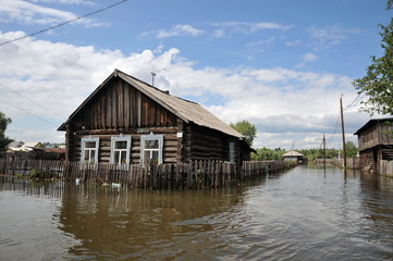Obraz premium Flood. The river Ob, which emerged from the shores, flooded the outskirts of the city.