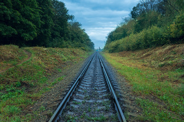 Fototapeta premium Railway rails that go to the distance