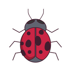bug icon image