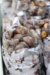 Fresh shellfish for cooking in the market