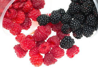 blackberries and raspberries