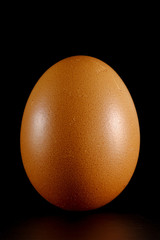 Braunes Ei