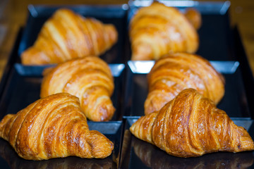 croissant bread 