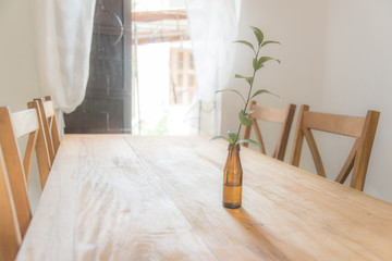 vase of plant cafe interior