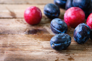 Blue and pink organic plums on dark wooden background. Copyspace.