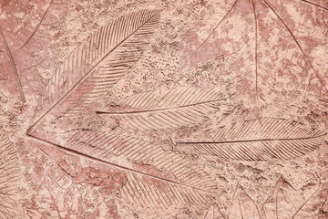 marks of leaf on the concrete background.