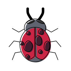 bug icon image