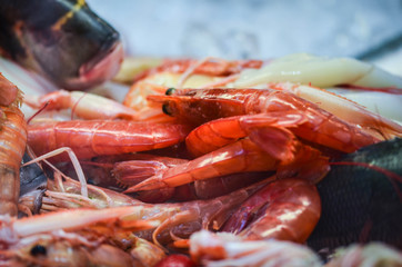 fresh seafood close up