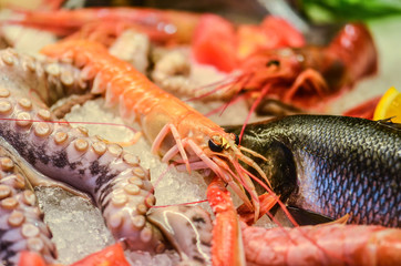 fresh seafood close up