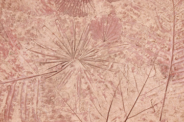 marks of leaf on the concrete, leaf background.