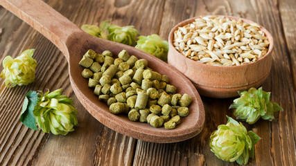 Barley in a wooden spoon, fresh and granulated hop in a spoon on a rustic table. Concept for craft beer and brewing