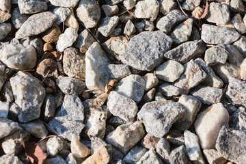 stone wall background