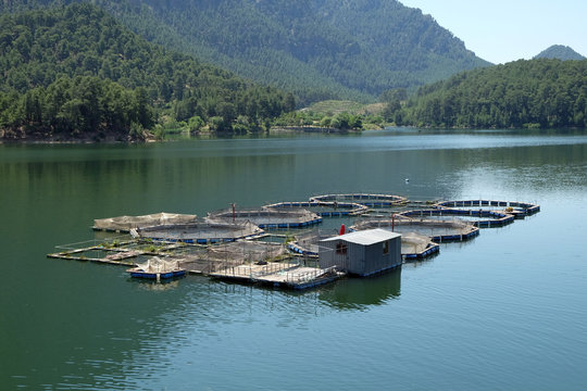 fish farms in Karacaoren Dam, Isparta, Turkey