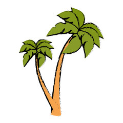 tree palm beach isolated icon