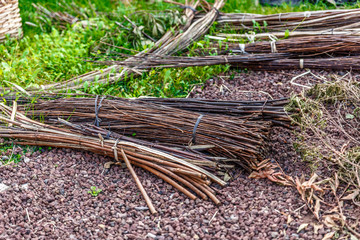 Bunch of hemp scattered on the ground of a farm