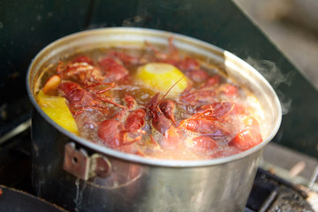 Crayfish cooking with lemon in pot