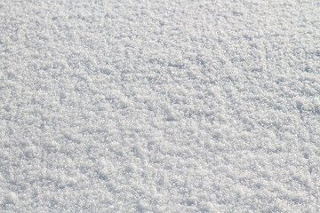 White snow
