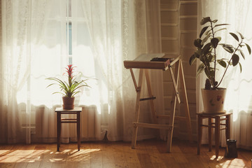 Countryside interior of the young artist's living-room with an easel and two tremendous plants in flowerpots